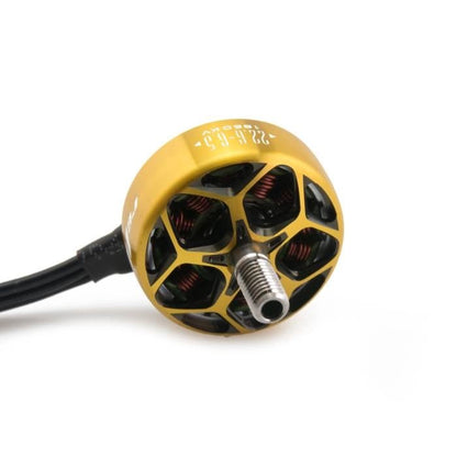 RCINPOWER Wasp Major 22.6-6.6 Brushless Motor (Gold)